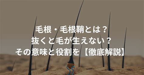 毛根鞘 気持ちいい|毛根・毛根鞘とは？抜くと毛が生えない？その意味と。